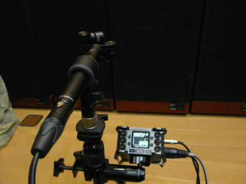 SONY Electret Condenser Microphone ECM-MS2 MSステレオマイクロホン